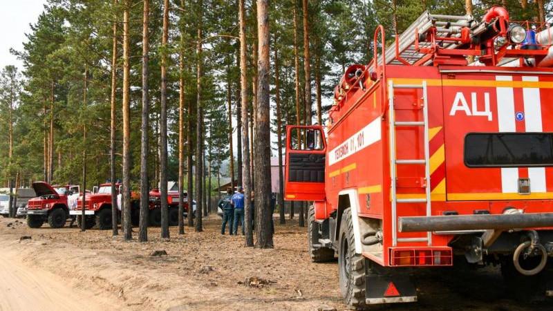 Площадь природных пожаров на Ямале выросла за сутки на 4 тыс. га