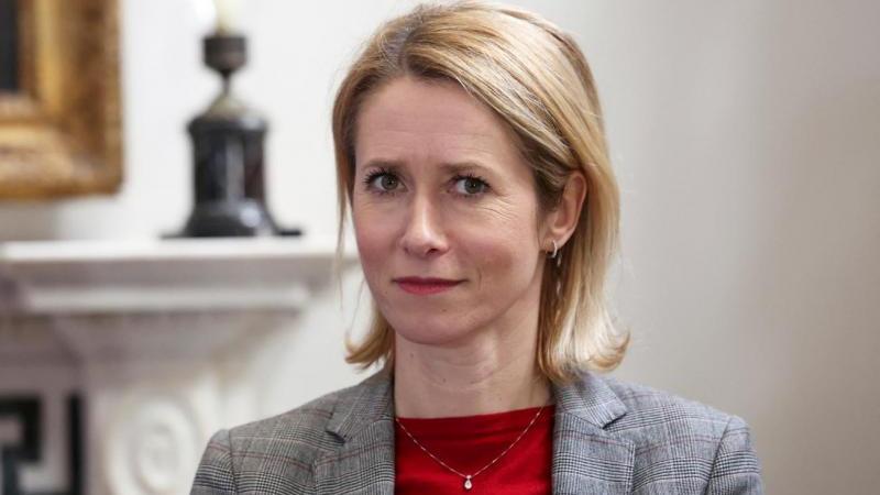 Каллас признала, что Евросоюзу нужны ледоколы