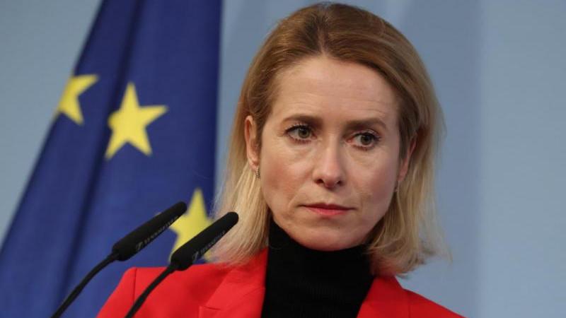 Politico: Каллас предложила европарламентариям начать пить из-за событий в мире