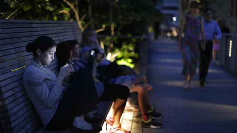 Wikipedia назвала самые популярные запросы за свою историю