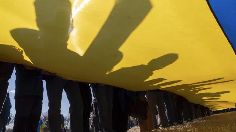 Мендель: численность населения Украины составляет всего 20-25 млн человек