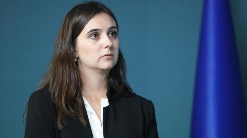 Мендель считает самоубийственной национальную политику Зеленского