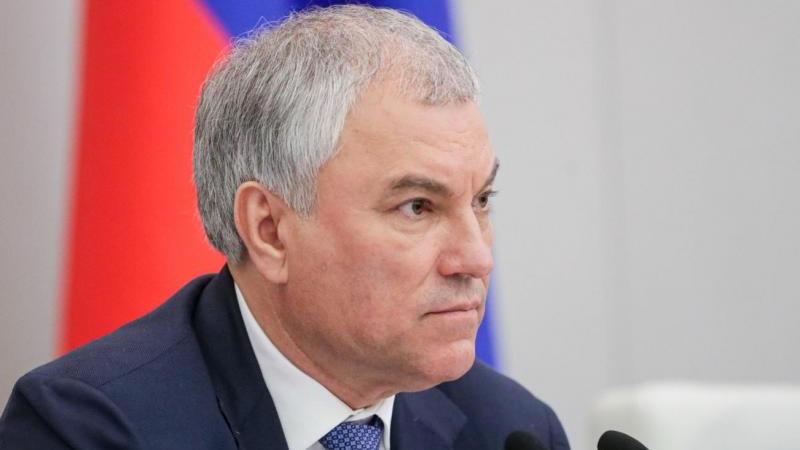 Володин констатировал снижение числа совершенных иностранцами преступлений