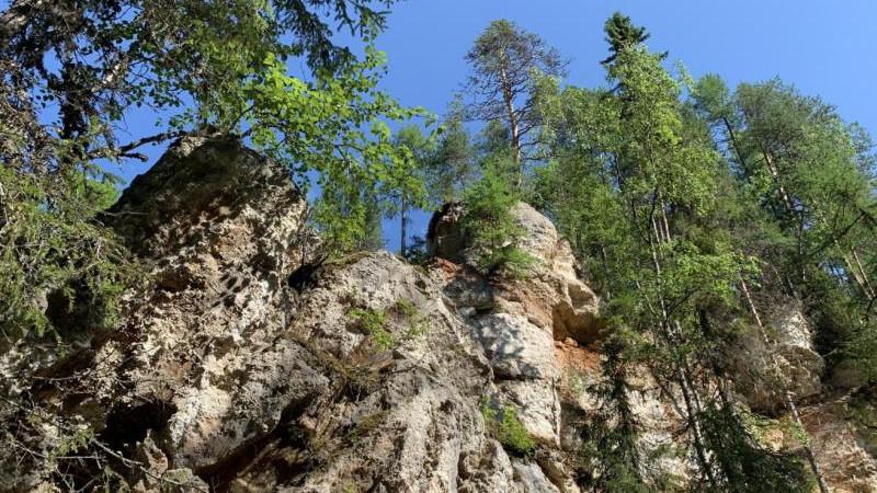 Президентский фонд природы запускает конкурс проектов на 1 млрд рублей