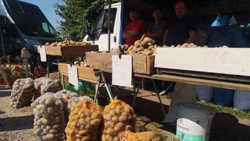 Euractiv: в Польше призвали население к "картофельному патриотизму"