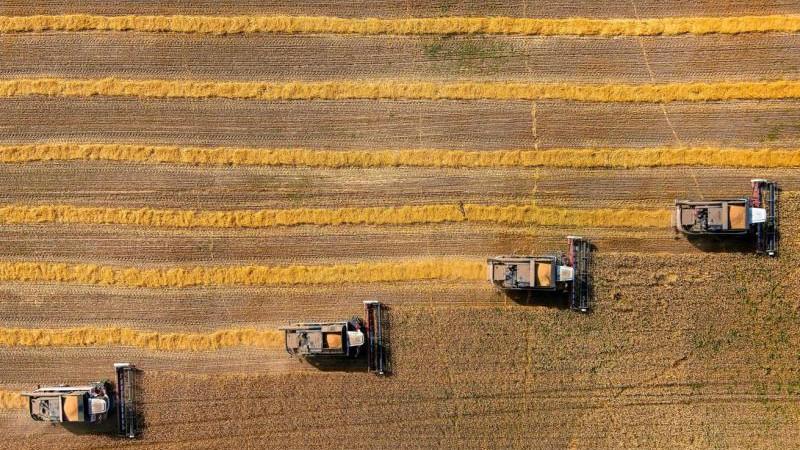 Урожай зерна в России в ближайшее время достигнет 100 млн тонн