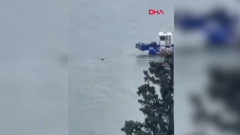 ДНК-экспертизу обнаруженного в Босфоре тела проведут 21 января