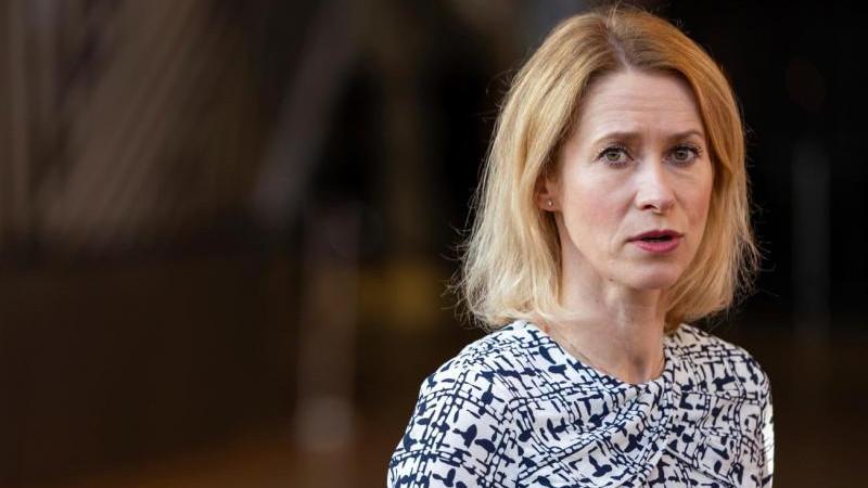 Euractiv: евродепутат от Латвии подарил Каллас наклейку с чихуахуа