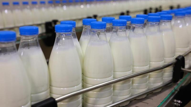 Россия ограничит ввоз молочной продукции из Армении