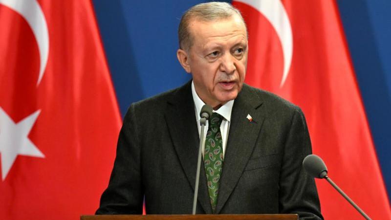 Эрдоган заявил, что у Турции нет тайной повестки