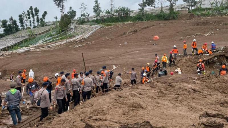 Число жертв оползня в Индонезии достигло 50
