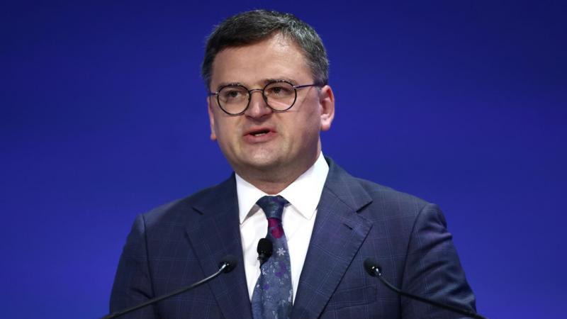 Кулеба не исключает снижения мобилизационного возраста на Украине