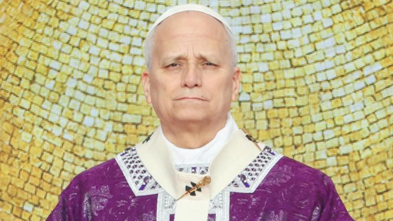Лев XIV призвал Европу воздержаться от варварства в отношениях