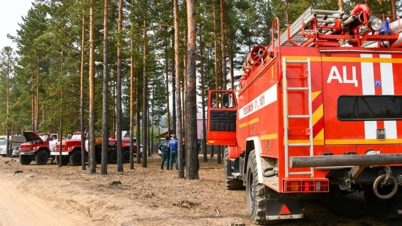 В Красноярском крае площадь лесных пожаров за сутки увеличилась на 20 тыс. га