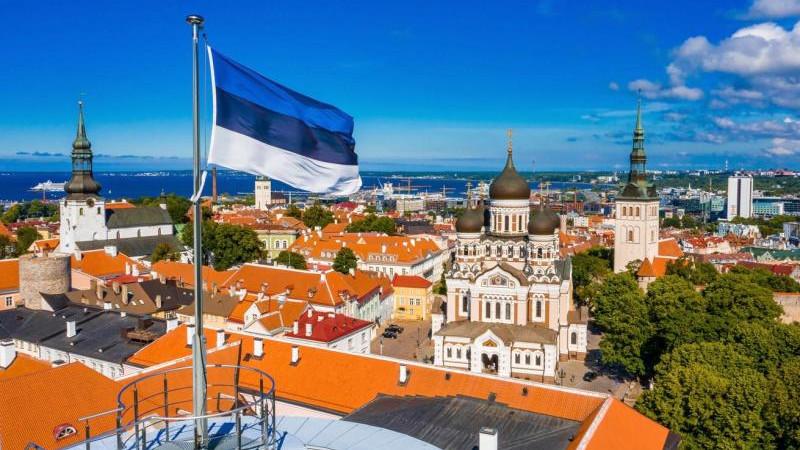 В Эстонии заявили о готовности терпеть падения БПЛА Украины на своей территории