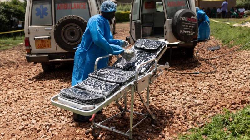Число летальных исходов от Эболы в ДР Конго превысило 1,5 тыс.