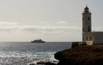 Two more hantavirus cases reported from MV Hondius cruise ship — agency
