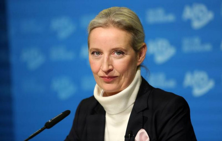 Germany’s AfD leader calls for resumption of Russian gas supplies amid low storage