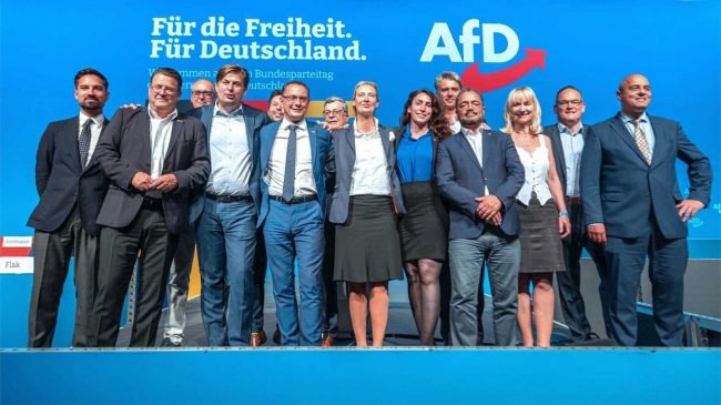 The AfD's place in the power structure is still undetermined