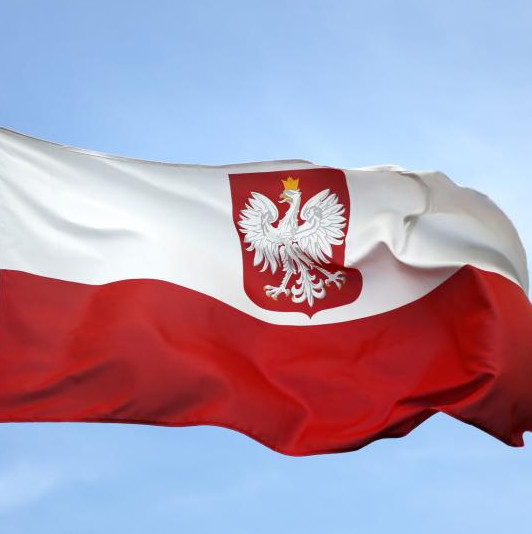 Poland reluctantly confesses presence of mercenaries in Ukraine — Russian ambassador