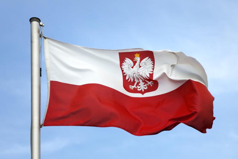 Poland reluctantly confesses presence of mercenaries in Ukraine — Russian ambassador