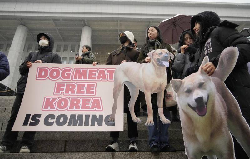 South Korean parliament passes bill to prohibit consumption of dog meat